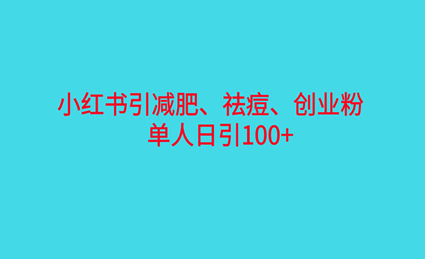 《小红书精准引流》减肥、祛痘、创业粉单人日引100+-掘金智库